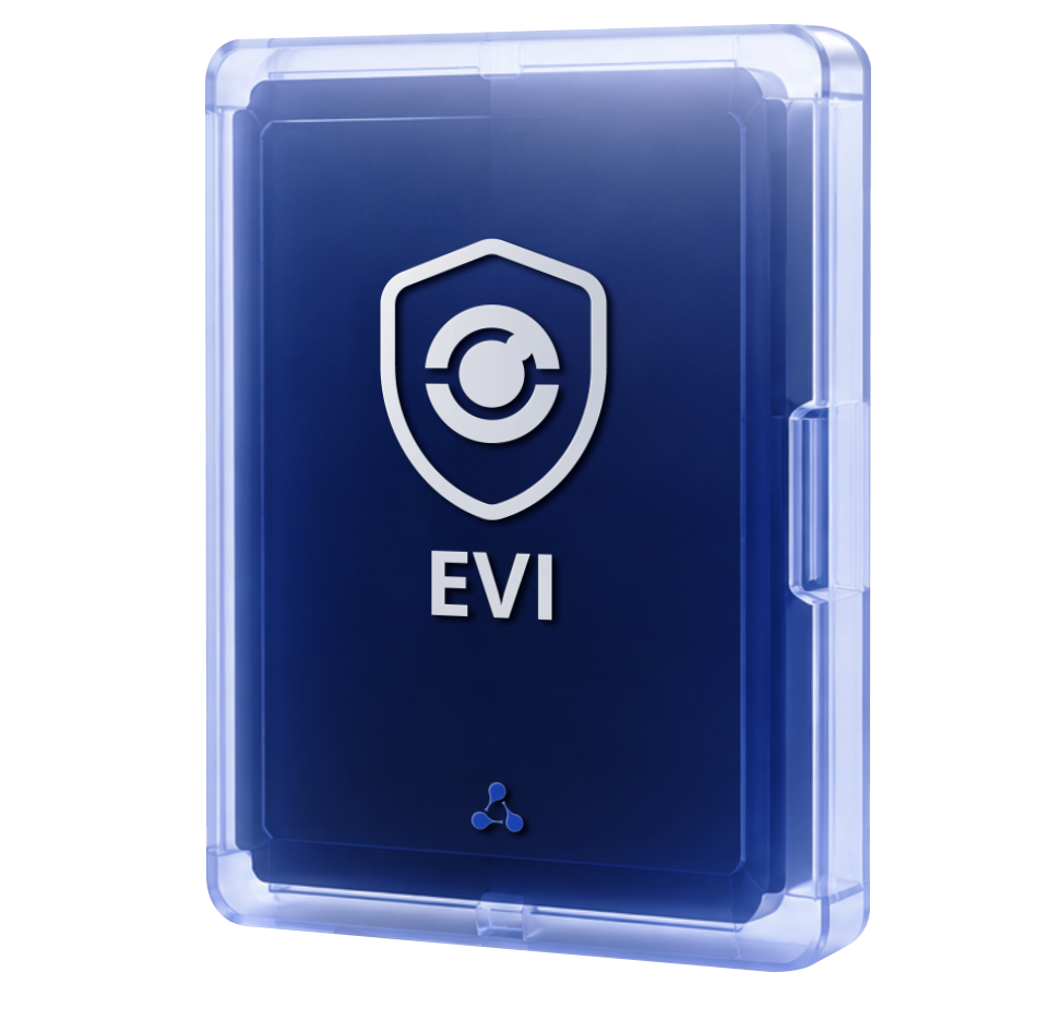 Платформа видеонаблюдения EVI