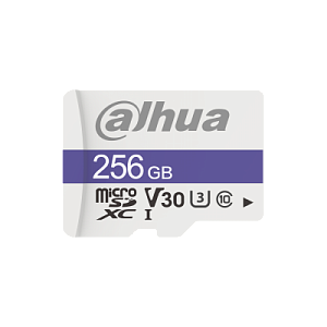Карта памяти microSD Dahua TF-C100/256GB