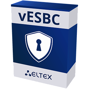 Программный пограничный контроллер сессий vESBC