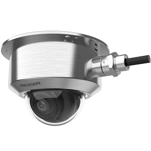 Взрывозащищённая IP-камера купольная Hikvision DS-2XE6786G0-LIZHS(304)
