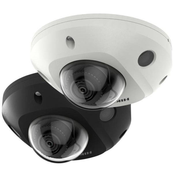 IP-камера купольная Hikvision DS-2CD2543G2-I(WS)