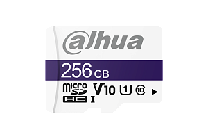 Карта памяти microSD Dahua TF-C100A-256GB