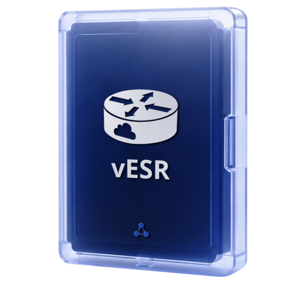 Виртуальный сервисный маршрутизатор vESR