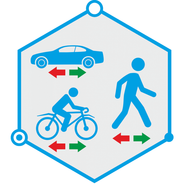 Модуль видеоаналитики TRASSIR Direction Detector